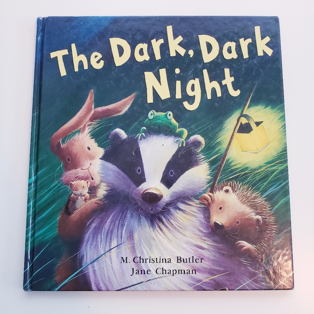 The Dark, Dark Night Hardcover Childrens Book by Christina M. Butler RARE / HTF